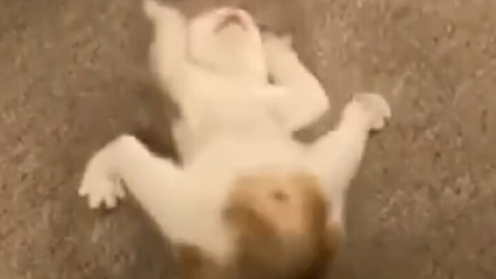 Weird Move (Totally Confident)