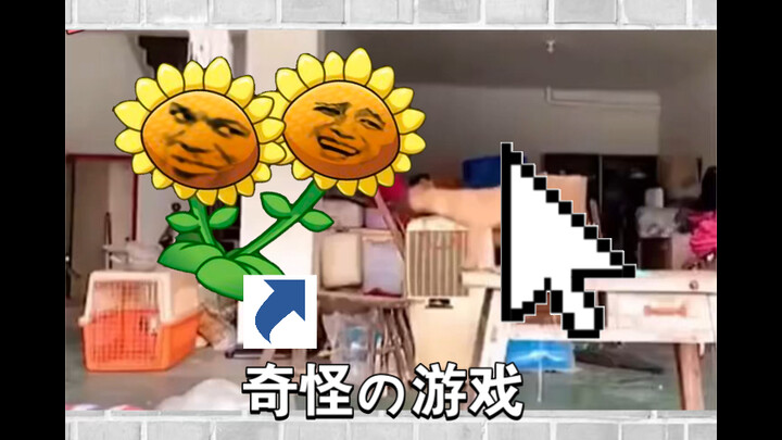 เปิดเผยชีวิตแสนสุขของเจ้าตูบ! ชีวิตประจำวันอันแสนสนุกที่จะทำให้คุณหัวเราะ!