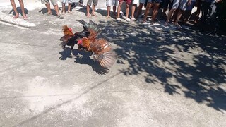 STREET FIGHT: GILMORE HATCH vs DOME HENNIE NA SOBRANG TANDA, IBA TALAGA KAPAG MATANDA KALABAN..TALO!