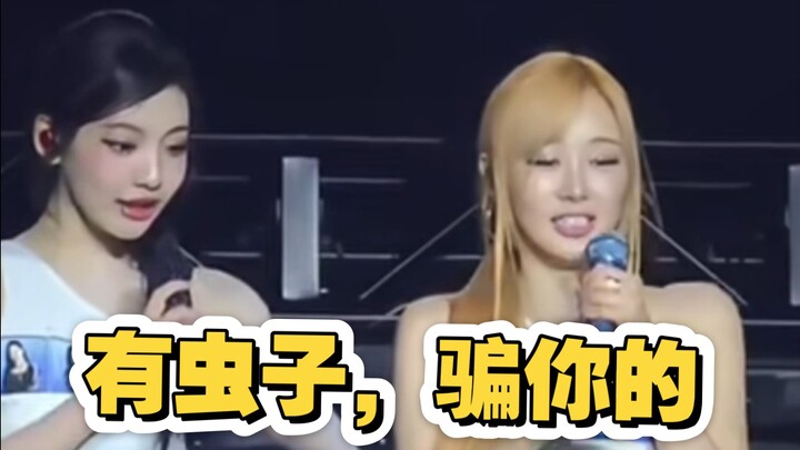 มีตัวแมลง ฮ่าๆ ล้อเล่นน่า