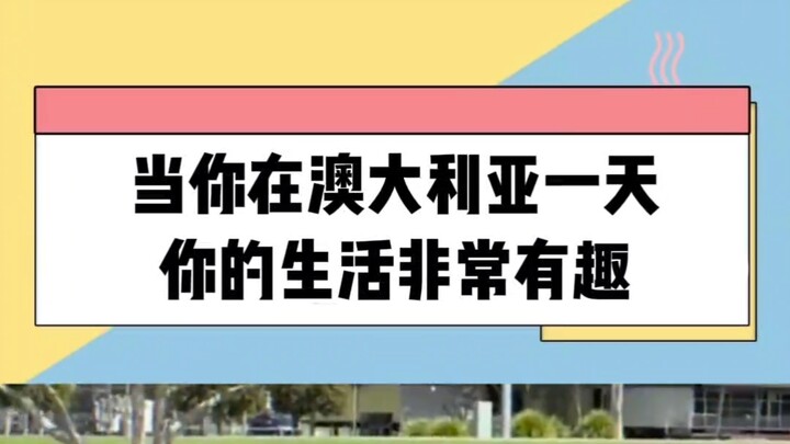 As expected, Australia is teeming with animals!