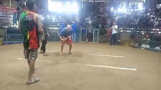 Lemon x Albany win Pilar Coliseum