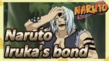 Naruto Iruka's bond