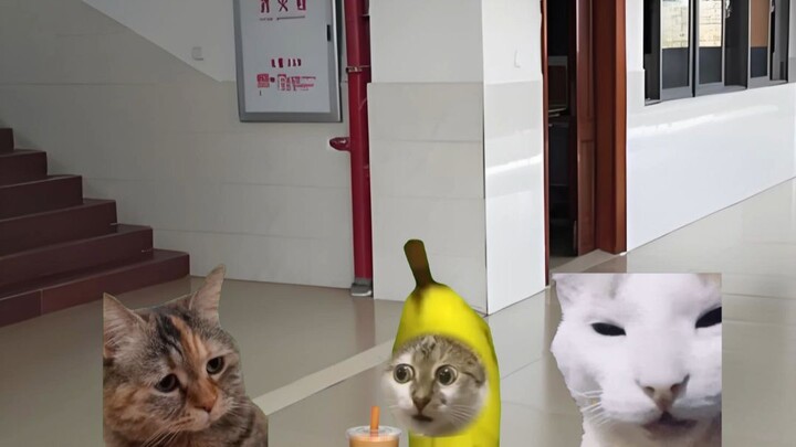 Kebaikan hati seseorang tertanam di dalam tulangnya