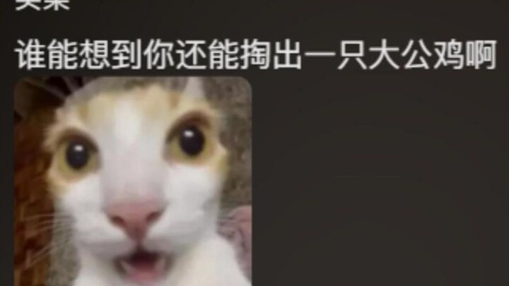 No wonder the blogger kept saying it was so cute—compared to this big rooster, it really is adorable