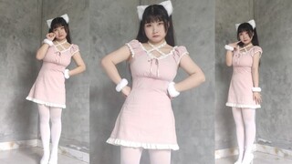你的猫咪♥竖屏~每天吃饱饱的饱胀女孩～