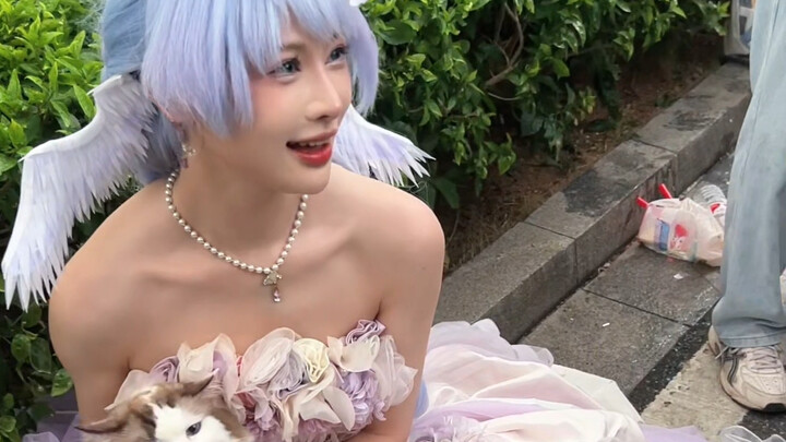 Đưa mèo đi tham quan hội chợ anime, cô nàng coser bỗng nhiên đòi bế nó