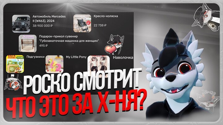 🐺 РОСКО СМОТРИТ ПРЕДЛОЖЕНИЯ С ФЕТТЫ ⬆️