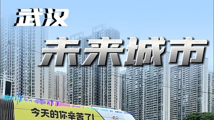 城市进化成这样了也不吱声！武汉朋友是天生不爱说话吗？
