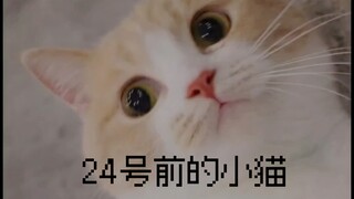 24号前VS24号后