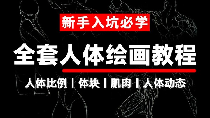 Bộ giáo trình vẽ cơ thể người này phù hợp với 99% người mới bắt đầu, hướng dẫn chi tiết từng kiến th