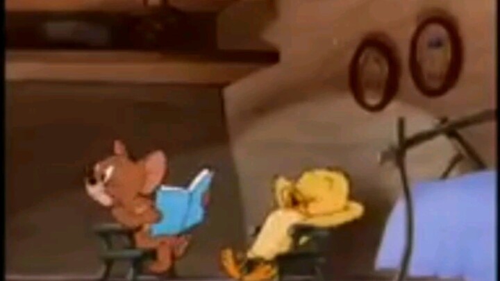 funny life Tom Jerry cartoon