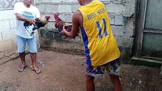 (win)Basilan vs bisaya hahaha