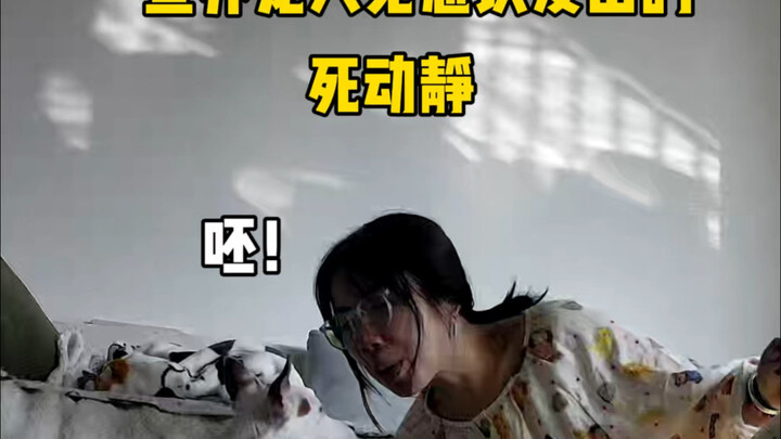 《论当代养宠人的精神状态》