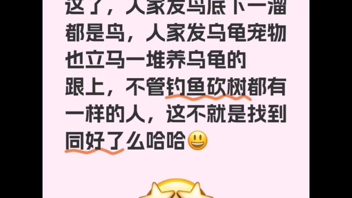 بالفعل، لا توجد هوايات نادرة في الصين! معلقون: الأجانب يجدون في الصين أصدقاء يشاركونهم نفس الأذواق ف