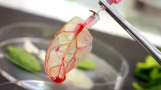 Transforming A Leaf Into Meat