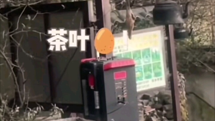 ไข่ต้มน้ำชาฟองนี้ต้องอร่อยขนาดไหนนะ ฮ่าๆๆ