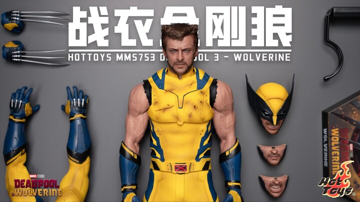 [First Review] Fans have waited 20 years for this suit! Hot Toys Deadpool 3 Wolverine Deluxe Edition