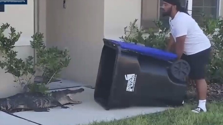 Florida people catch alligators