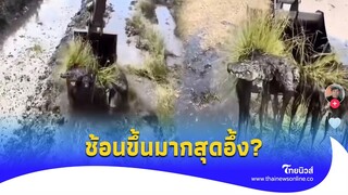 “รถตัก” ช้อนขึ้นมากสุดอึ้ง หน้าอย่างแบ๊ว มาจากไหน?|Thainews - ไทยนิวส์|update 14-jj
