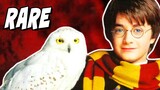 The RARE Instrument Behind Hedwig's Theme - Harry Potter Explained