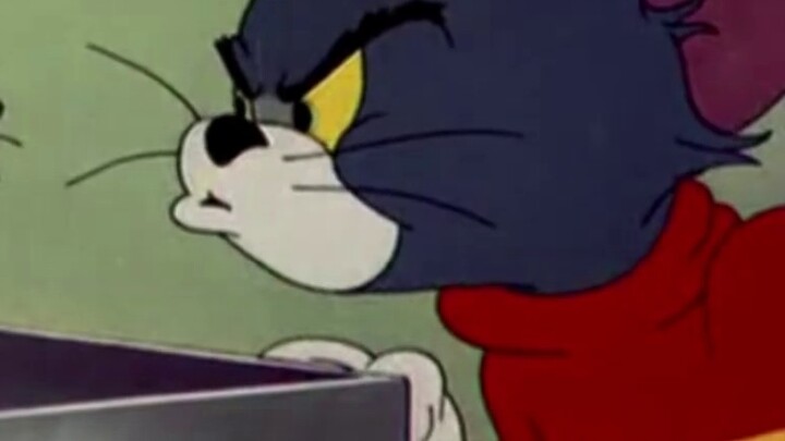 Menggunakan metode kucing dan tikus untuk membuka kehidupan Anda sebelum dan sesudah ujian masuk per