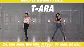 Y｜T-ARA两首战歌！“Number 9”&“Sugar free”dance cover【考古系列】