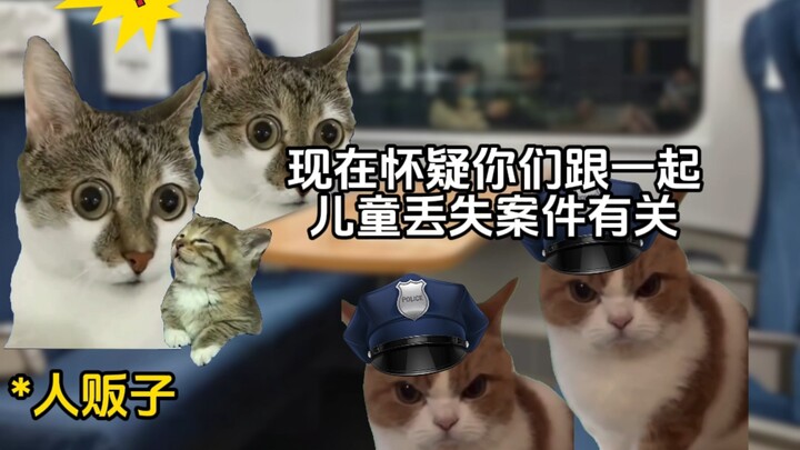 Xem bói mà tình cờ phá được một vụ án?