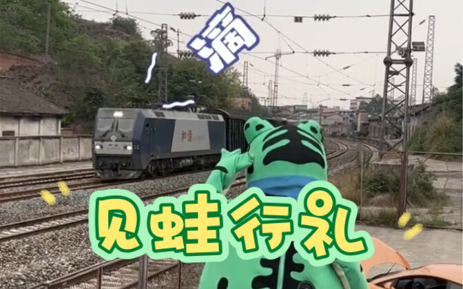 Seeing the frog bow, the little train gave it a playful response—haha, such friendship!