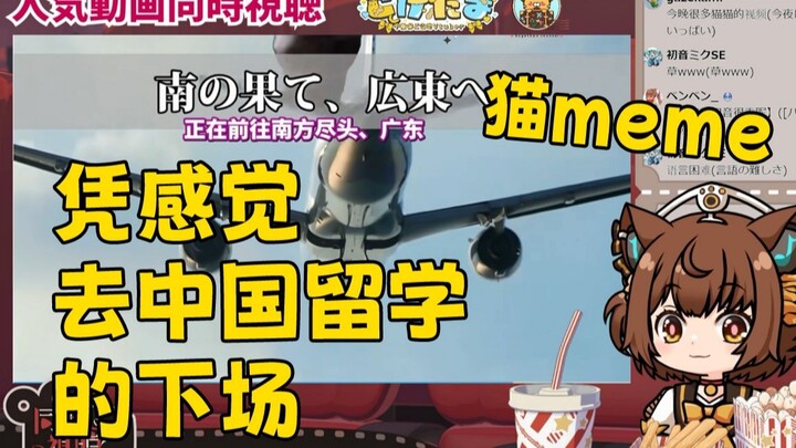 日本猫娘看猫meme凭感觉去中国留学的下场