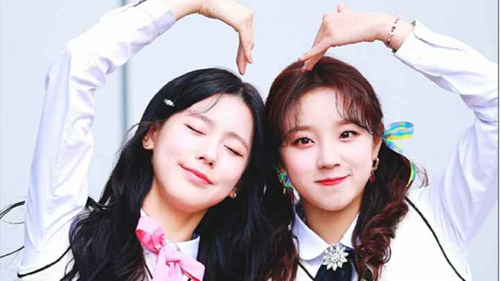 سونغ يوتشي بارعة في تعليم الصينية، وتقود موجة الكلمات والعبارات الصينية نحو كوريا الجنوبية بأكملها!