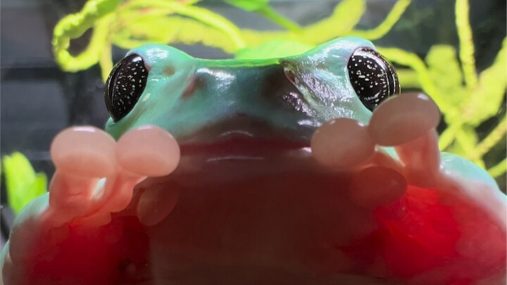 There’s a galaxy in his eyes—come up with a name for him!