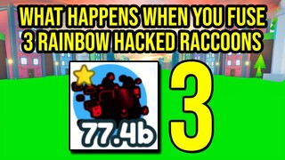 What Happens When You Fuse 3 Rainbow Hacked Raccoon in Pet Simulator X