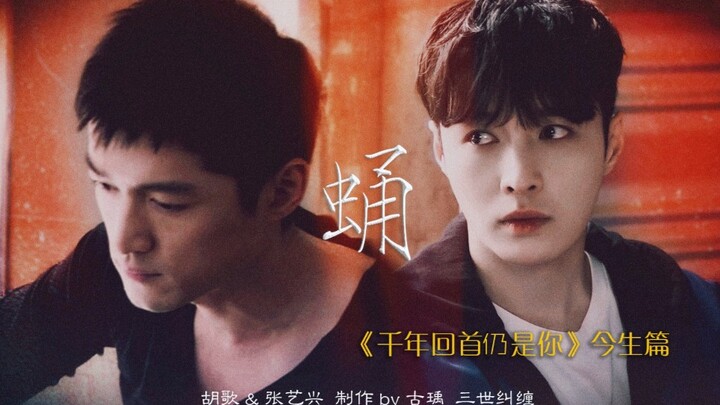【胡歌张艺兴】【下】今生|蛹|千年回首仍是你|错乱多少记忆，变化多少身形|徐然庄睿