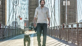[John Wick/Burning] Đấu súng và chó là chuyện tình lãng mạn của đàn ông! !