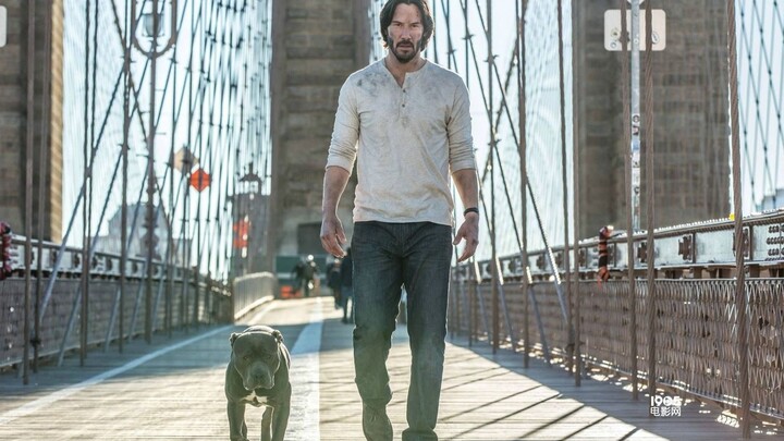 [John Wick/Burning] Gunfighting and dogs are a man's romance! !