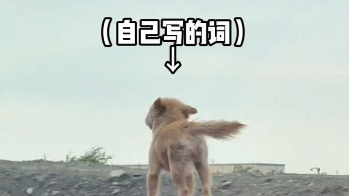 [Animal Voice Acting] Behind-the-Scenes Compilation of Li’s Dubbing Work