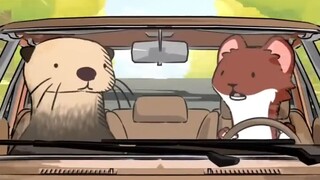 Hilang 🤨🐭🗺️ - [Kehidupan Sehari-hari Hewan Kecil | Habitat Alami] Subtitel Mandarin dan Inggris