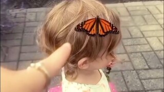 是在萌娃身上驻足的蝴蝶……