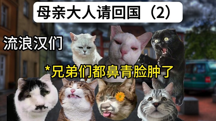 留子母亲善意月饼，放倒痴心流浪汉be like