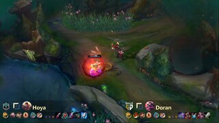 Korea Challenger - Pro Plays Highlights!!! #13