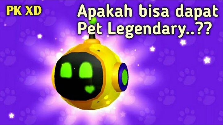 Cara mendapatkan pet Legendary Apakah berhasil..?? | PK XD buka Pet Pod