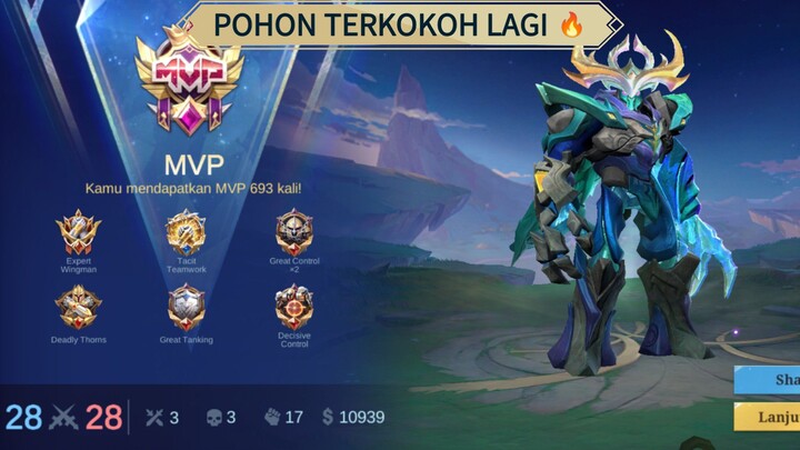 POHON TERKOKOH LAGI nihhh belerick 🔥🔥