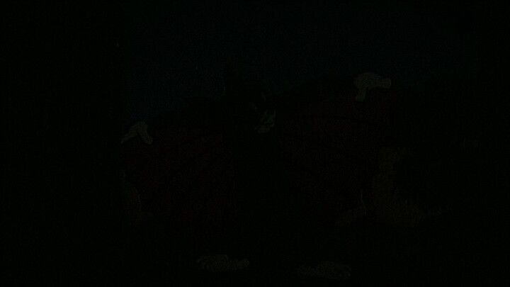 Tom & Jerry