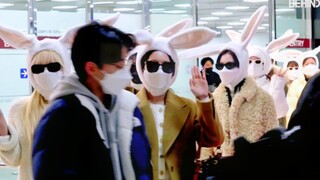 حلوة لدرجة الإغماء! تويستس تُظهر حضورًا جديدًا في العام الجديد، تسعة أرانب تم رصدها في المطار!