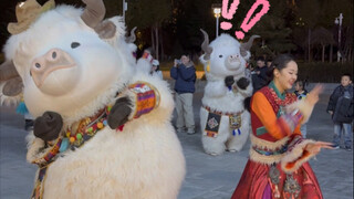 什么？！你俩跳舞不带我！(ﾉ｀⊿´)ﾉ