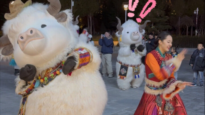 什么？！你俩跳舞不带我！(ﾉ｀⊿´)ﾉ