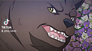 Anime kuma kuma kuma bear s2 eps 1