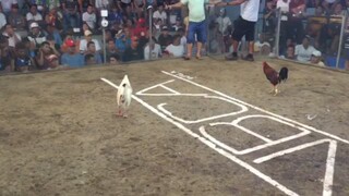 isa pa