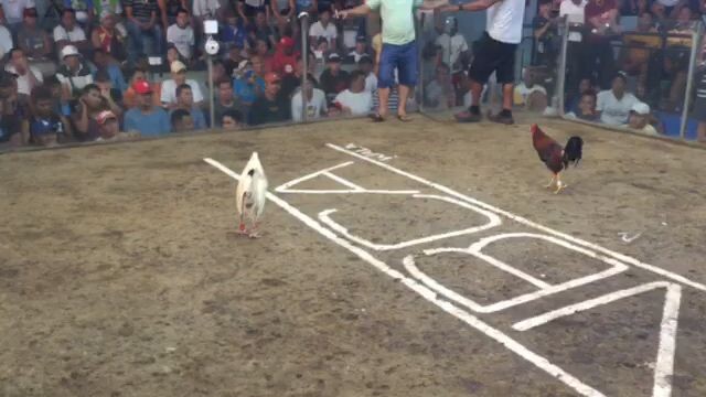 isa pa